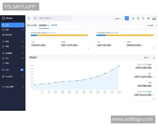 武汉极限运动队的区域防守策略与挑战深度解析